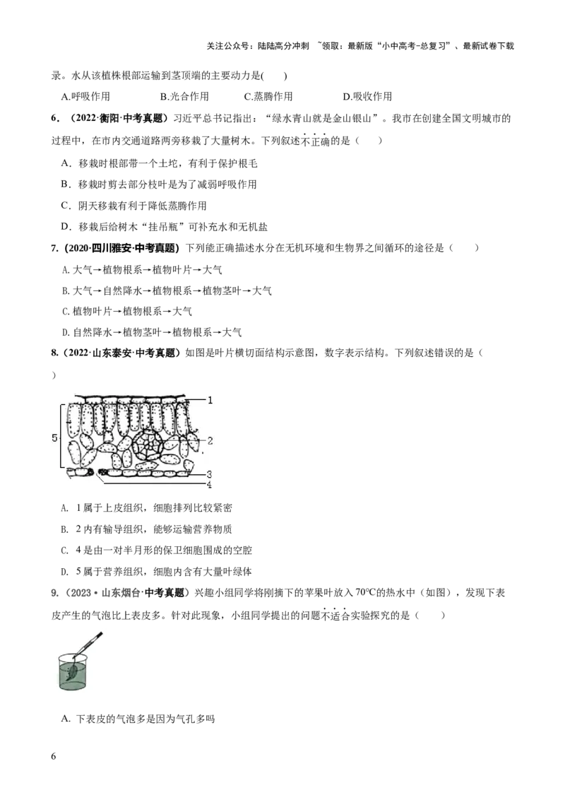 专题06绿色植物与生物圈的水循环（练习）（原卷版）_02中考总复习（2026版更新中）_08-生物-中考总复习_2024年中考复习资料_一轮复习_❤2024年中考生物一轮复习讲练测（全国通用）_练习