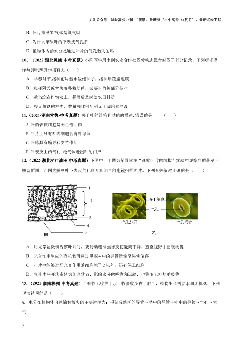 专题06绿色植物与生物圈的水循环（练习）（原卷版）_02中考总复习（2026版更新中）_08-生物-中考总复习_2024年中考复习资料_一轮复习_❤2024年中考生物一轮复习讲练测（全国通用）_练习