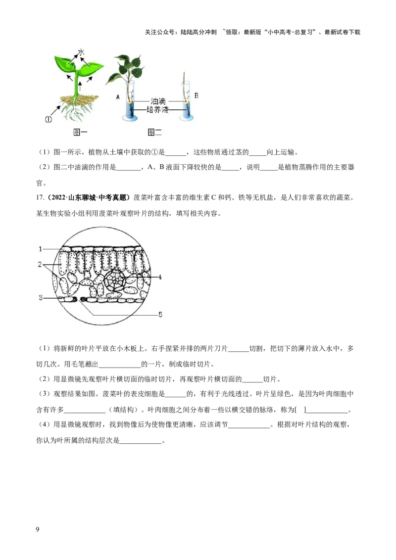专题06绿色植物与生物圈的水循环（练习）（原卷版）_02中考总复习（2026版更新中）_08-生物-中考总复习_2024年中考复习资料_一轮复习_❤2024年中考生物一轮复习讲练测（全国通用）_练习