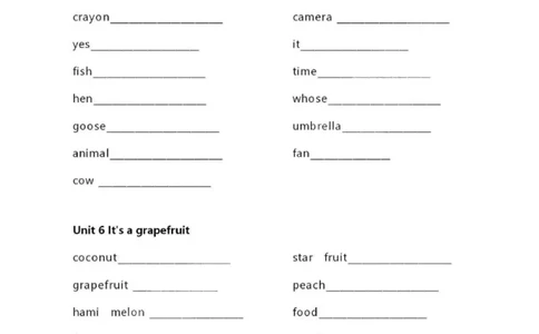 精通五上单词默写表_26春四年级上下册人教版_四上英语合集人教版PEP英语四年级上册新教材（教学视频+课件+动画+音频+练习+教案）_17练习资料_小学英语（预习复习资料大礼包）