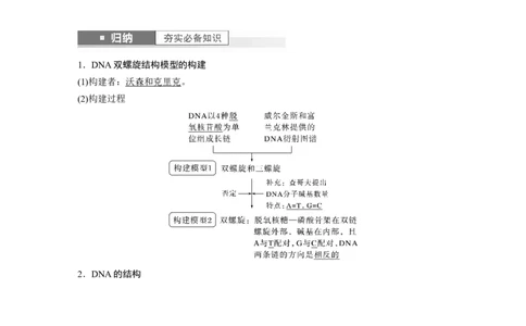 2024年高考生物一轮复习（新人教版）第6单元　第2课时　DNA的结构与复制_09高考生物_2024年新高考资料_1.2024一轮复习_2024年高考生物一轮复习讲义（新人教版）