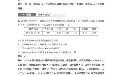 2024年高考生物一轮复习（新人教版）第6单元　第2课时　DNA的结构与复制_09高考生物_2024年新高考资料_1.2024一轮复习_2024年高考生物一轮复习讲义（新人教版）