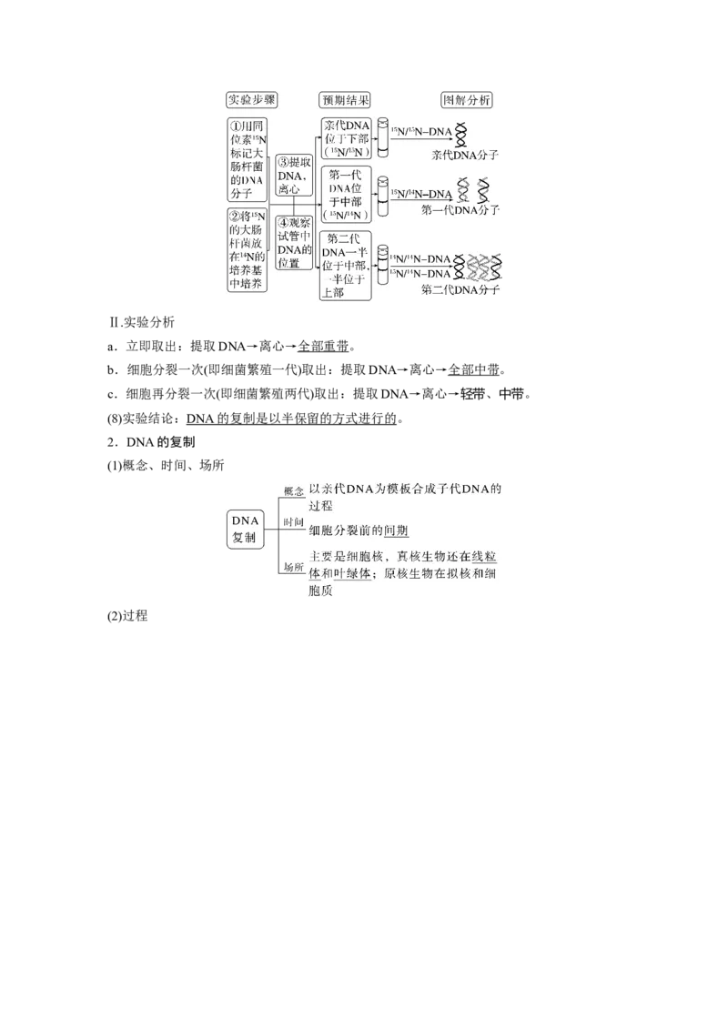 2024年高考生物一轮复习（新人教版）第6单元　第2课时　DNA的结构与复制_09高考生物_2024年新高考资料_1.2024一轮复习_2024年高考生物一轮复习讲义（新人教版）
