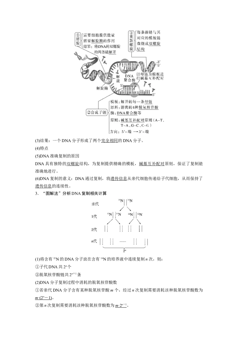 2024年高考生物一轮复习（新人教版）第6单元　第2课时　DNA的结构与复制_09高考生物_2024年新高考资料_1.2024一轮复习_2024年高考生物一轮复习讲义（新人教版）