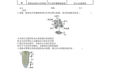 专题07被子植物的一生（原卷版）_02中考总复习（2026版更新中）_08-生物-中考总复习_2024年中考复习资料_一轮复习_配套练习