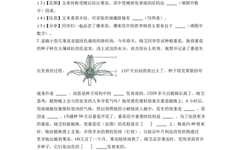 专题07被子植物的一生（原卷版）_02中考总复习（2026版更新中）_08-生物-中考总复习_2024年中考复习资料_一轮复习_配套练习