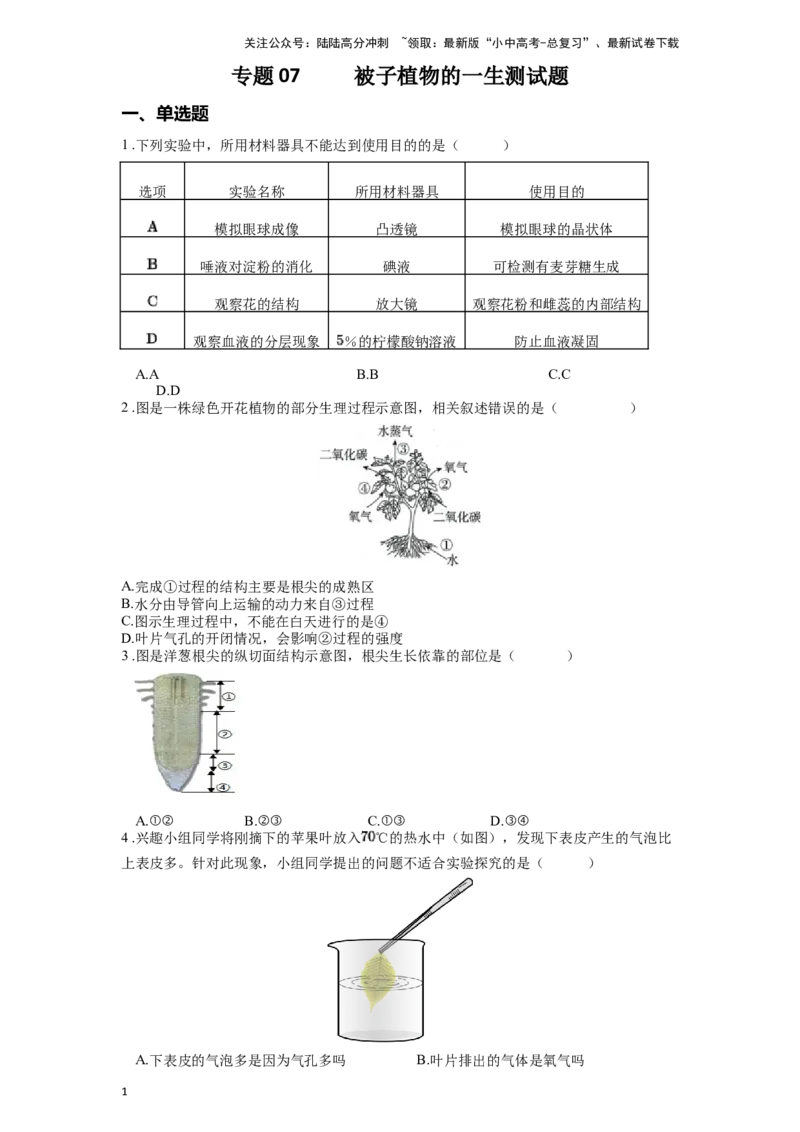 专题07被子植物的一生（原卷版）_02中考总复习（2026版更新中）_08-生物-中考总复习_2024年中考复习资料_一轮复习_配套练习