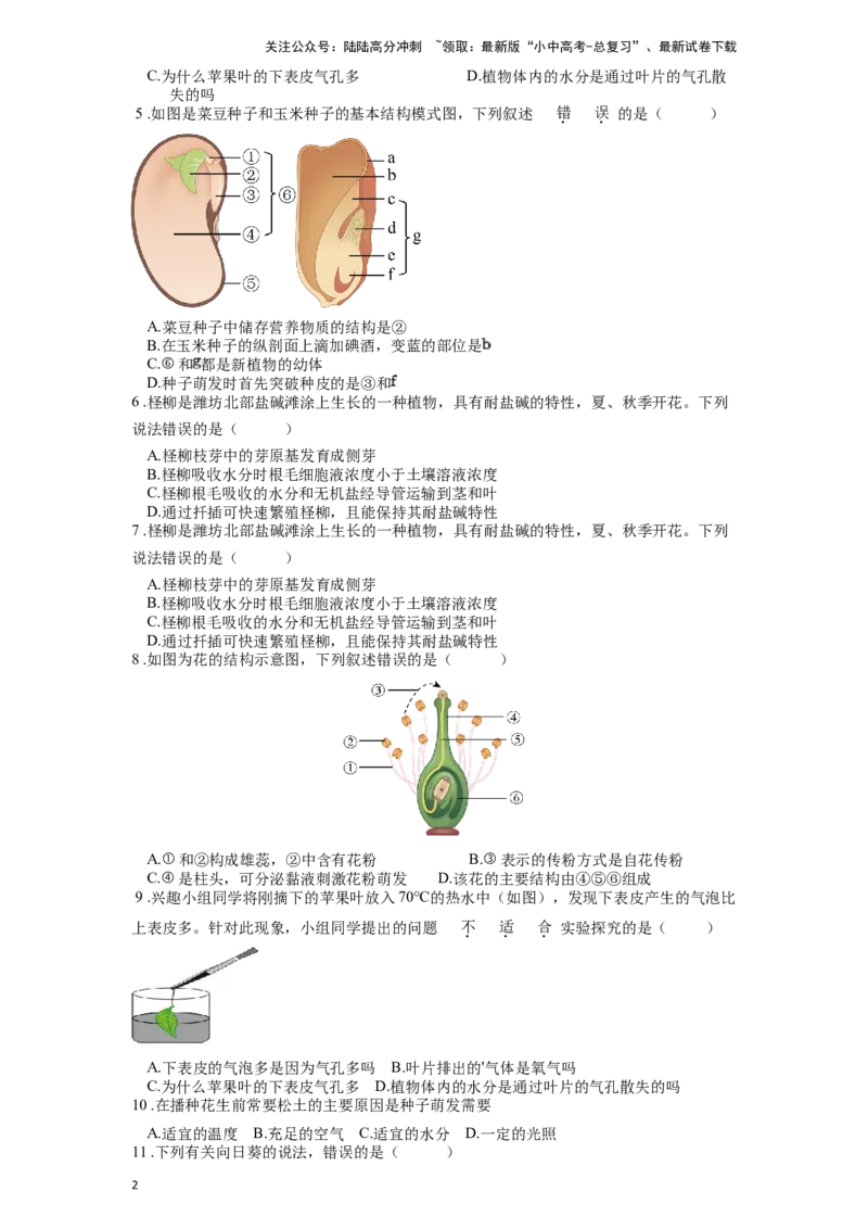 专题07被子植物的一生（原卷版）_02中考总复习（2026版更新中）_08-生物-中考总复习_2024年中考复习资料_一轮复习_配套练习
