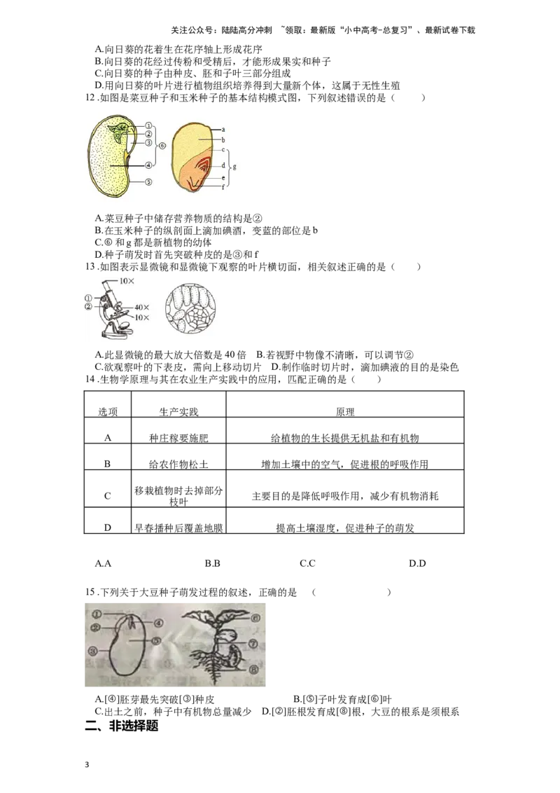 专题07被子植物的一生（原卷版）_02中考总复习（2026版更新中）_08-生物-中考总复习_2024年中考复习资料_一轮复习_配套练习