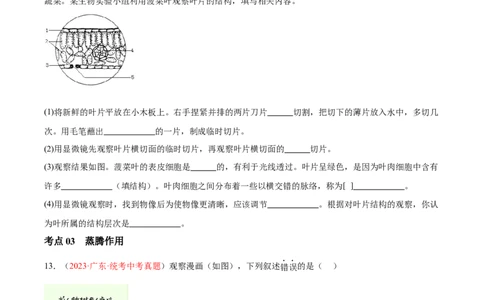 专题06绿色植物与生物圈的水循环（原卷版）_02中考总复习（2026版更新中）_08-生物-中考总复习_2024年中考复习资料_一轮复习_❤备战2024年中考生物一轮复习考点帮（全国通用）_练习