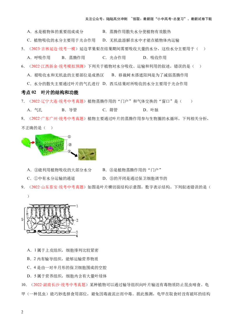 专题06绿色植物与生物圈的水循环（原卷版）_02中考总复习（2026版更新中）_08-生物-中考总复习_2024年中考复习资料_一轮复习_❤备战2024年中考生物一轮复习考点帮（全国通用）_练习