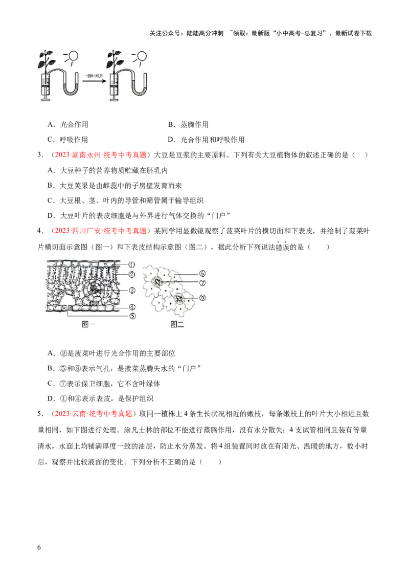 专题06绿色植物与生物圈的水循环（原卷版）_02中考总复习（2026版更新中）_08-生物-中考总复习_2024年中考复习资料_一轮复习_❤备战2024年中考生物一轮复习考点帮（全国通用）_练习