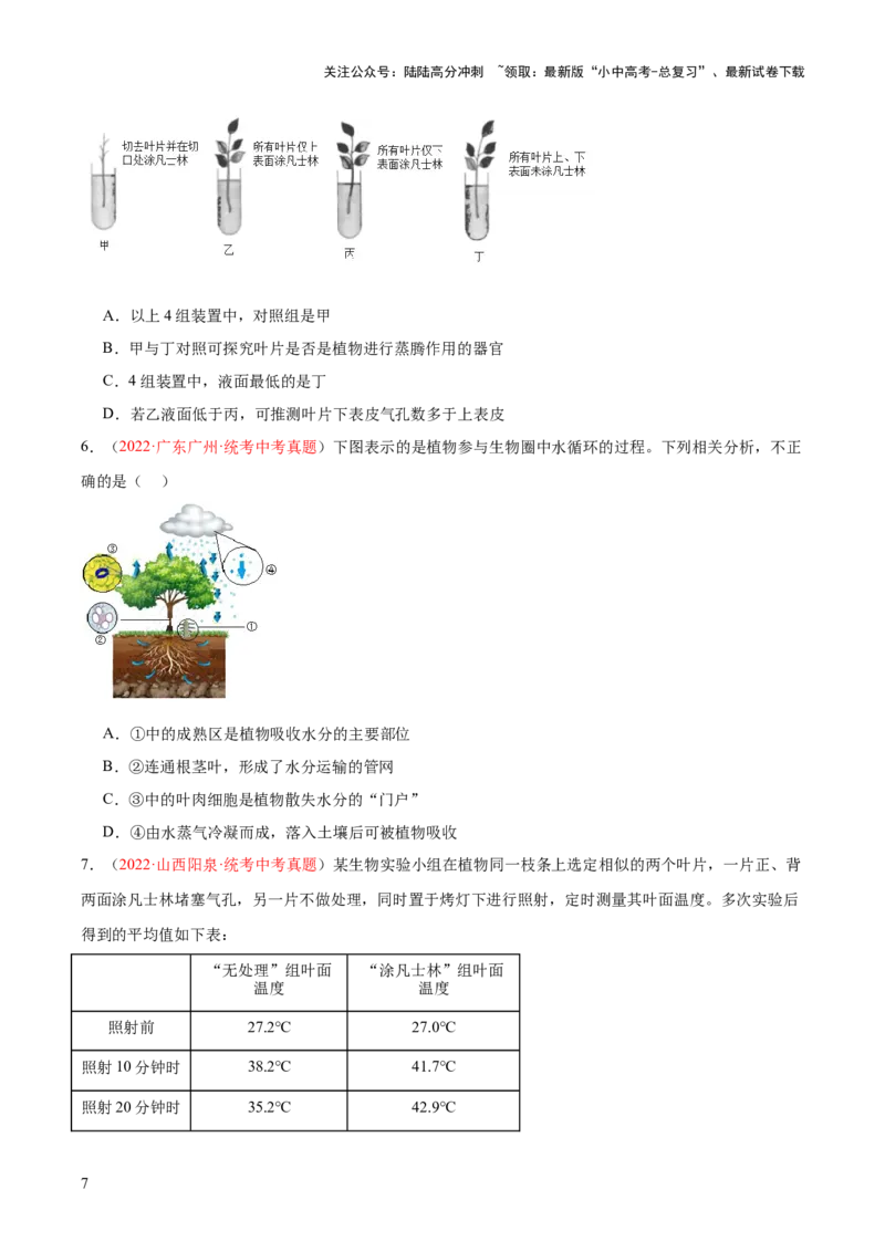 专题06绿色植物与生物圈的水循环（原卷版）_02中考总复习（2026版更新中）_08-生物-中考总复习_2024年中考复习资料_一轮复习_❤备战2024年中考生物一轮复习考点帮（全国通用）_练习