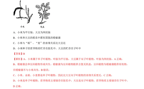 专题11&nbsp;生物的分类、进化和多样性保护（解析版）_02中考总复习（2026版更新中）_08-生物-中考总复习_2024年中考复习资料_专项复习_答案解析版