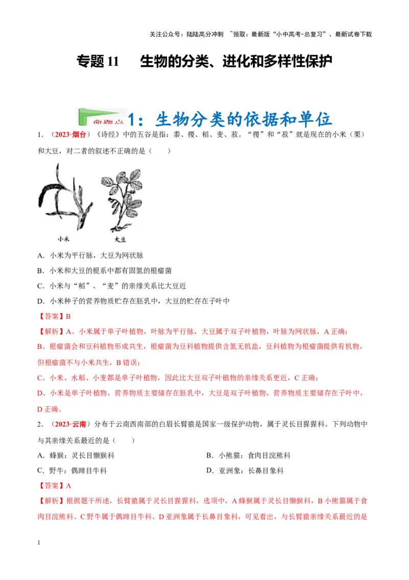 专题11&nbsp;生物的分类、进化和多样性保护（解析版）_02中考总复习（2026版更新中）_08-生物-中考总复习_2024年中考复习资料_专项复习_答案解析版