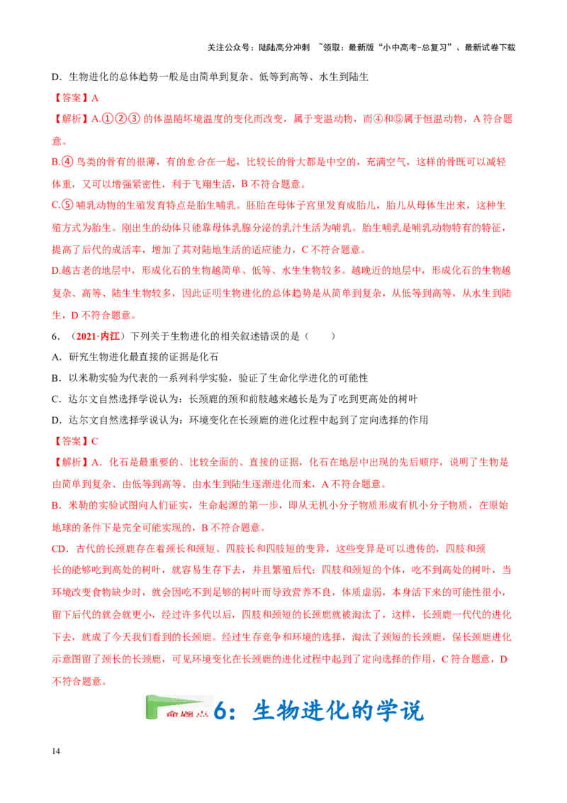 专题11&nbsp;生物的分类、进化和多样性保护（解析版）_02中考总复习（2026版更新中）_08-生物-中考总复习_2024年中考复习资料_专项复习_答案解析版