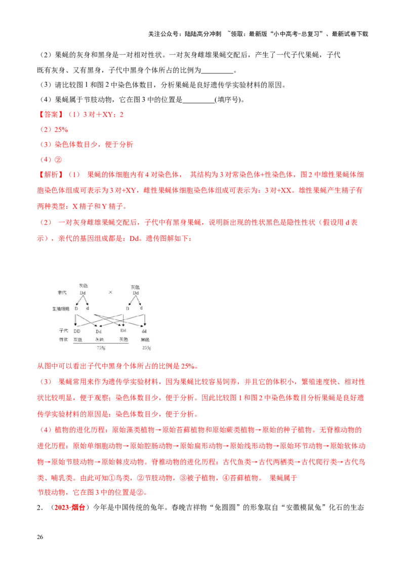 专题11&nbsp;生物的分类、进化和多样性保护（解析版）_02中考总复习（2026版更新中）_08-生物-中考总复习_2024年中考复习资料_专项复习_答案解析版