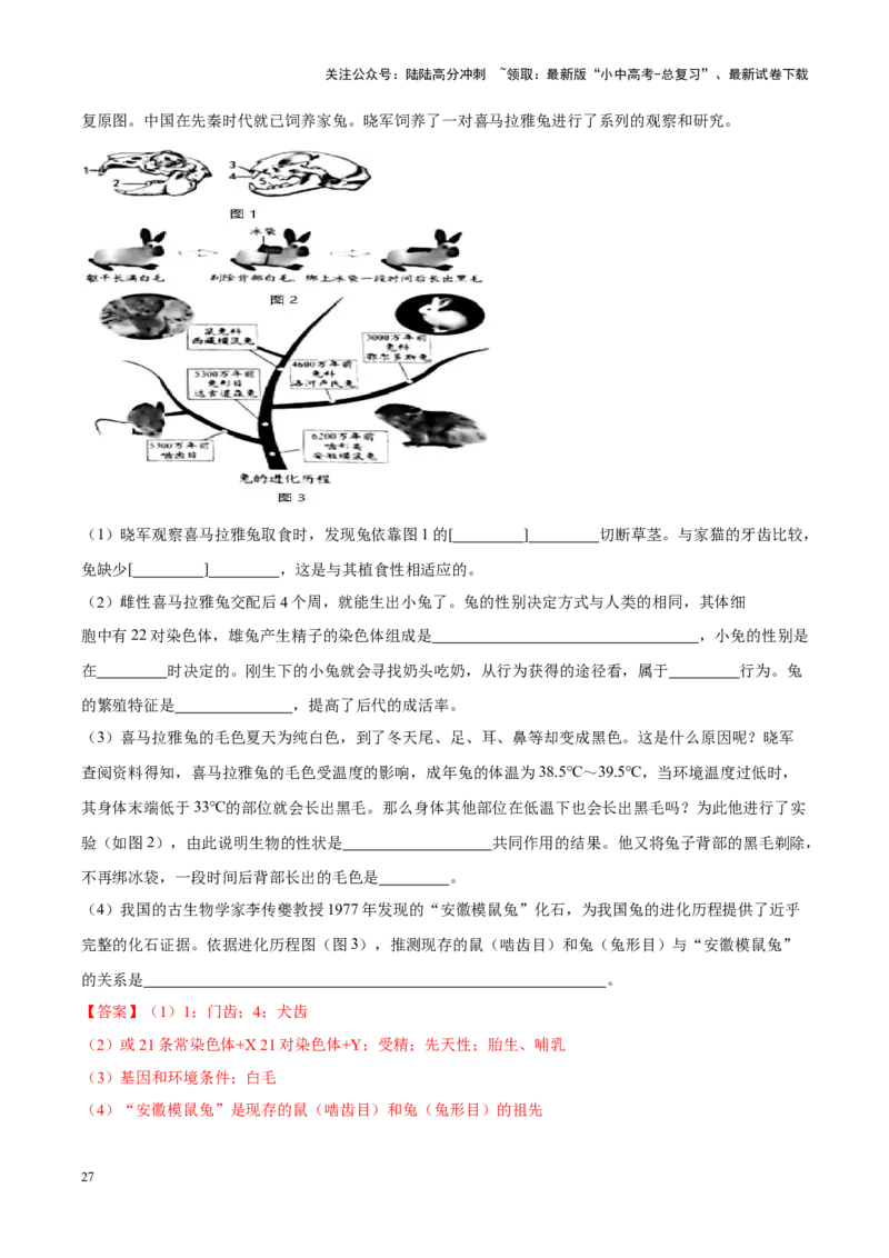 专题11&nbsp;生物的分类、进化和多样性保护（解析版）_02中考总复习（2026版更新中）_08-生物-中考总复习_2024年中考复习资料_专项复习_答案解析版
