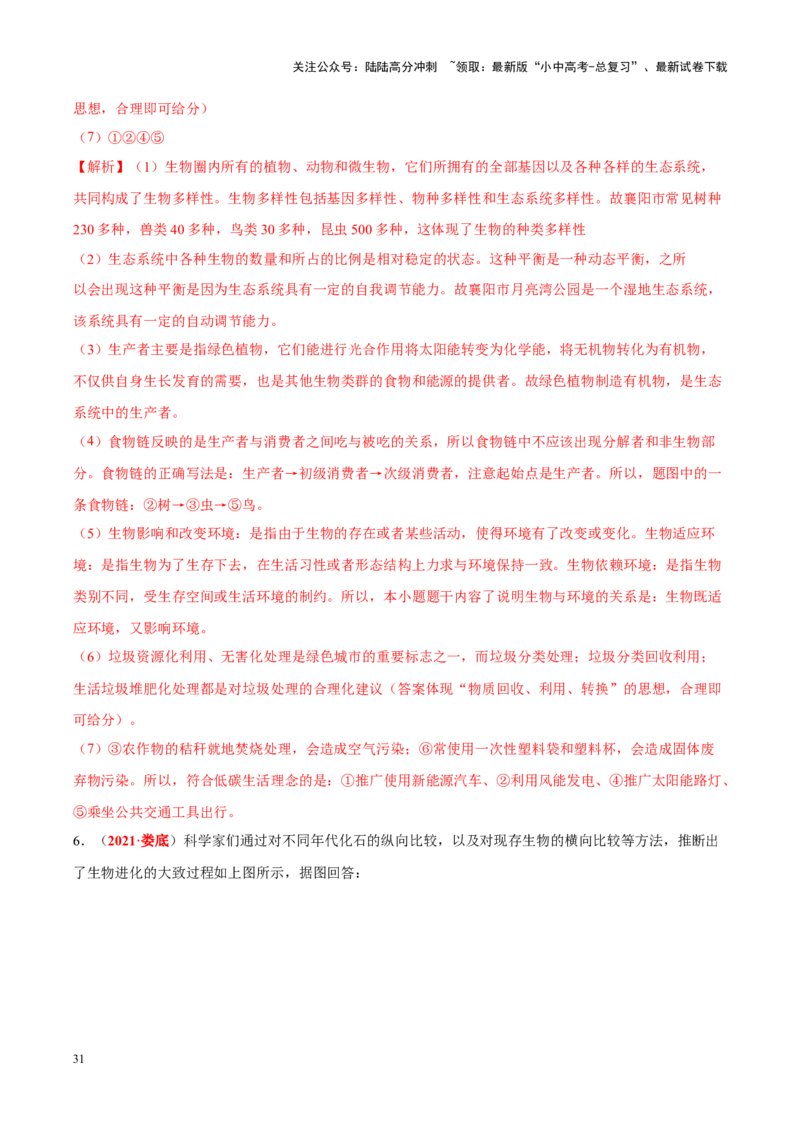 专题11&nbsp;生物的分类、进化和多样性保护（解析版）_02中考总复习（2026版更新中）_08-生物-中考总复习_2024年中考复习资料_专项复习_答案解析版