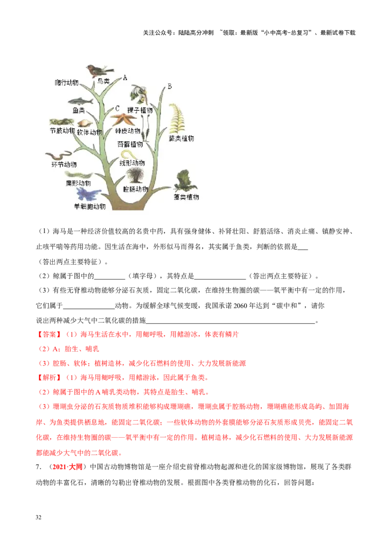 专题11&nbsp;生物的分类、进化和多样性保护（解析版）_02中考总复习（2026版更新中）_08-生物-中考总复习_2024年中考复习资料_专项复习_答案解析版