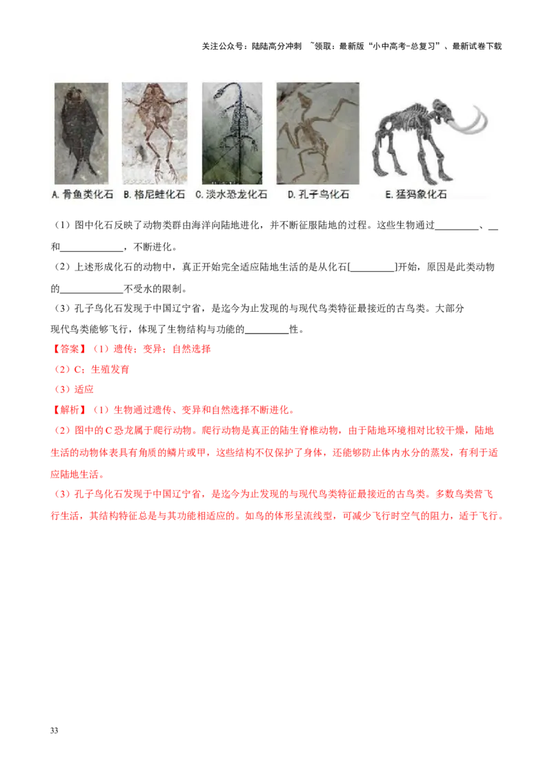 专题11&nbsp;生物的分类、进化和多样性保护（解析版）_02中考总复习（2026版更新中）_08-生物-中考总复习_2024年中考复习资料_专项复习_答案解析版