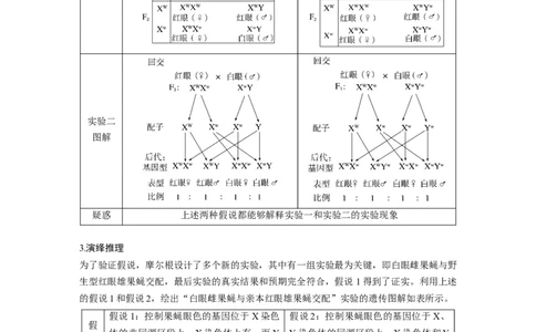 2024年高考生物一轮复习（新人教版）第5单元　第7课时　基因在染色体上的假说与证据_09高考生物_2024年新高考资料_1.2024一轮复习_2024年高考生物一轮复习讲义（新人教版）