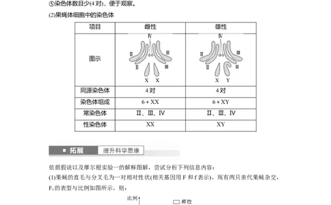 2024年高考生物一轮复习（新人教版）第5单元　第7课时　基因在染色体上的假说与证据_09高考生物_2024年新高考资料_1.2024一轮复习_2024年高考生物一轮复习讲义（新人教版）