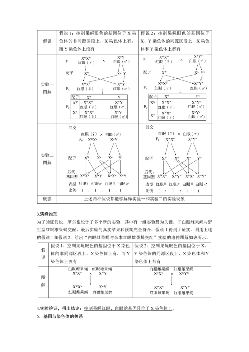 2024年高考生物一轮复习（新人教版）第5单元　第7课时　基因在染色体上的假说与证据_09高考生物_2024年新高考资料_1.2024一轮复习_2024年高考生物一轮复习讲义（新人教版）