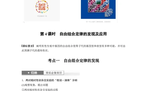 2024年高考生物一轮复习（新人教版）第5单元　第4课时　自由组合定律的发现及应用_09高考生物_2024年新高考资料_1.2024一轮复习_2024年高考生物一轮复习讲义（新人教版）