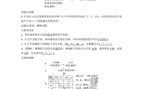 2024年高考生物一轮复习（新人教版）第5单元　第4课时　自由组合定律的发现及应用_09高考生物_2024年新高考资料_1.2024一轮复习_2024年高考生物一轮复习讲义（新人教版）