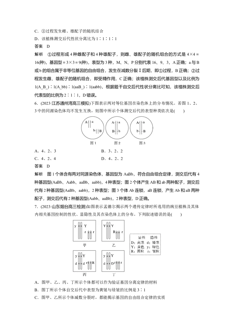 2024年高考生物一轮复习（新人教版）第5单元　第4课时　自由组合定律的发现及应用_09高考生物_2024年新高考资料_1.2024一轮复习_2024年高考生物一轮复习讲义（新人教版）
