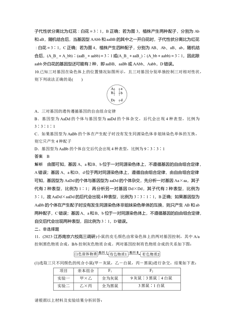 2024年高考生物一轮复习（新人教版）第5单元　第4课时　自由组合定律的发现及应用_09高考生物_2024年新高考资料_1.2024一轮复习_2024年高考生物一轮复习讲义（新人教版）