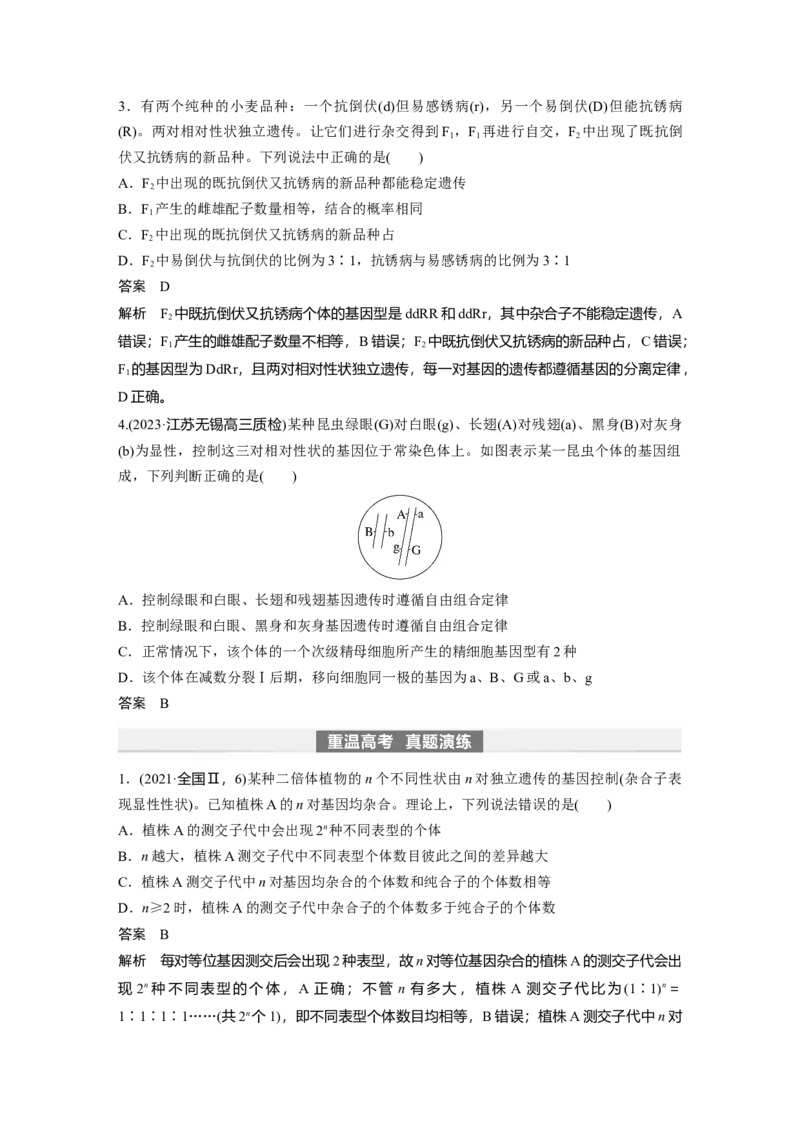 2024年高考生物一轮复习（新人教版）第5单元　第4课时　自由组合定律的发现及应用_09高考生物_2024年新高考资料_1.2024一轮复习_2024年高考生物一轮复习讲义（新人教版）