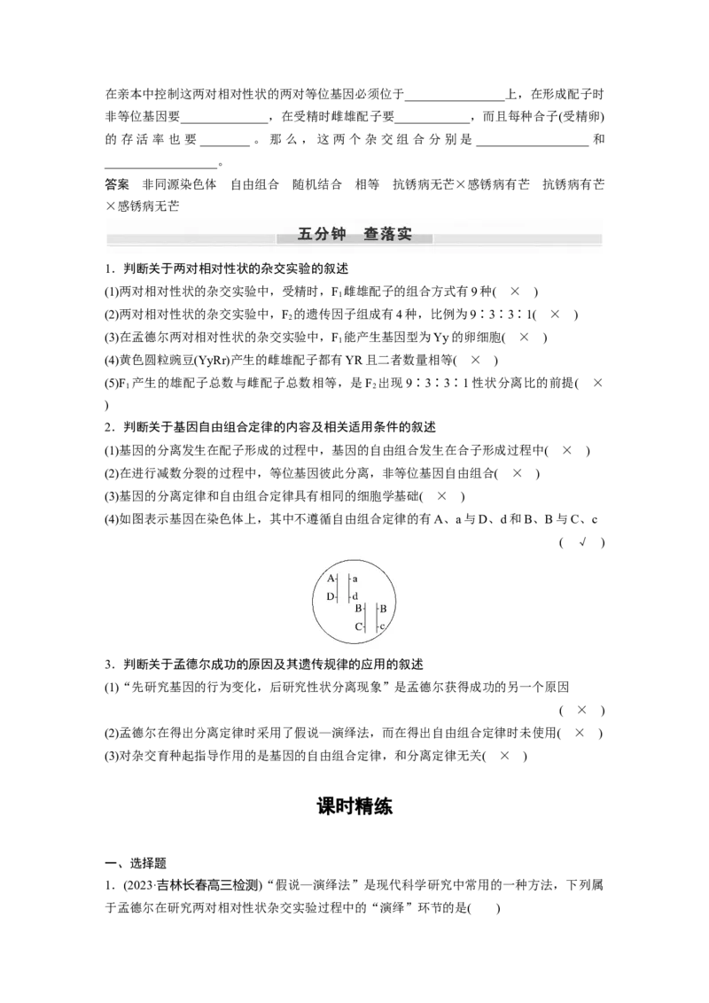 2024年高考生物一轮复习（新人教版）第5单元　第4课时　自由组合定律的发现及应用_09高考生物_2024年新高考资料_1.2024一轮复习_2024年高考生物一轮复习讲义（新人教版）