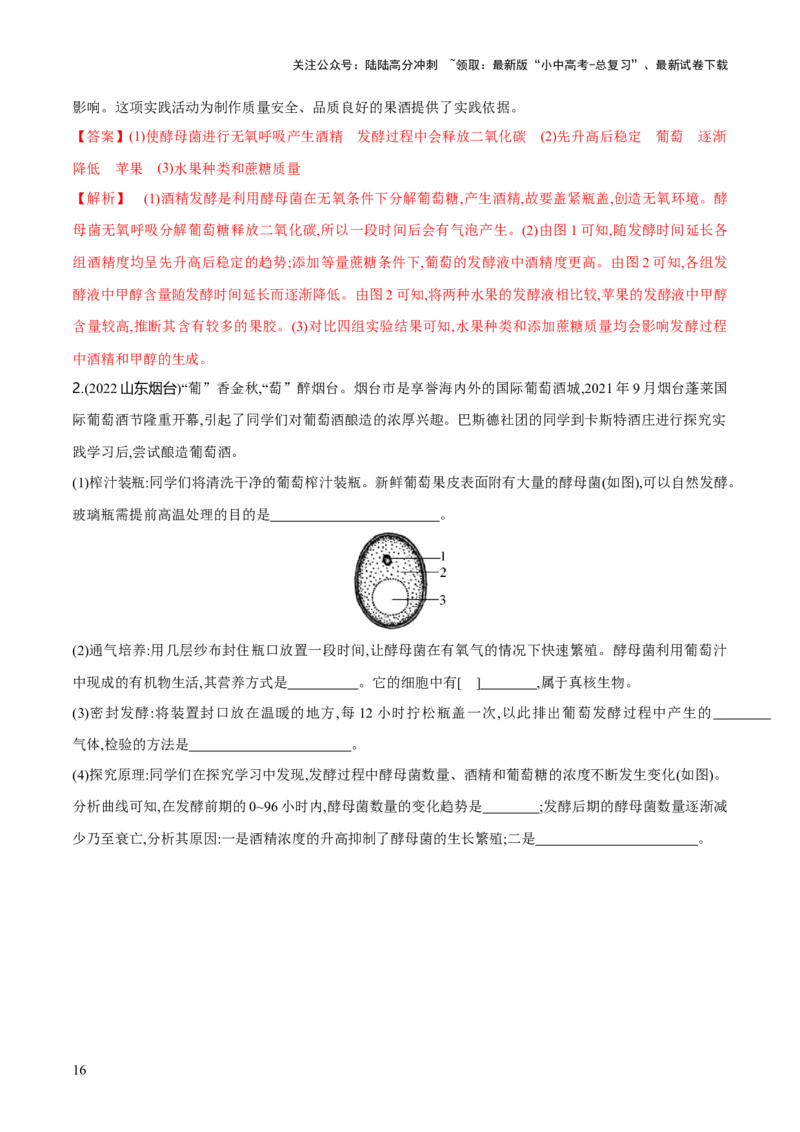 专题23现代生物技术的应用（练习，2大考点）（解析版）_02中考总复习（2026版更新中）_08-生物-中考总复习_2024年中考复习资料_一轮复习_❤2024年中考生物一轮复习讲练测（全国通用）