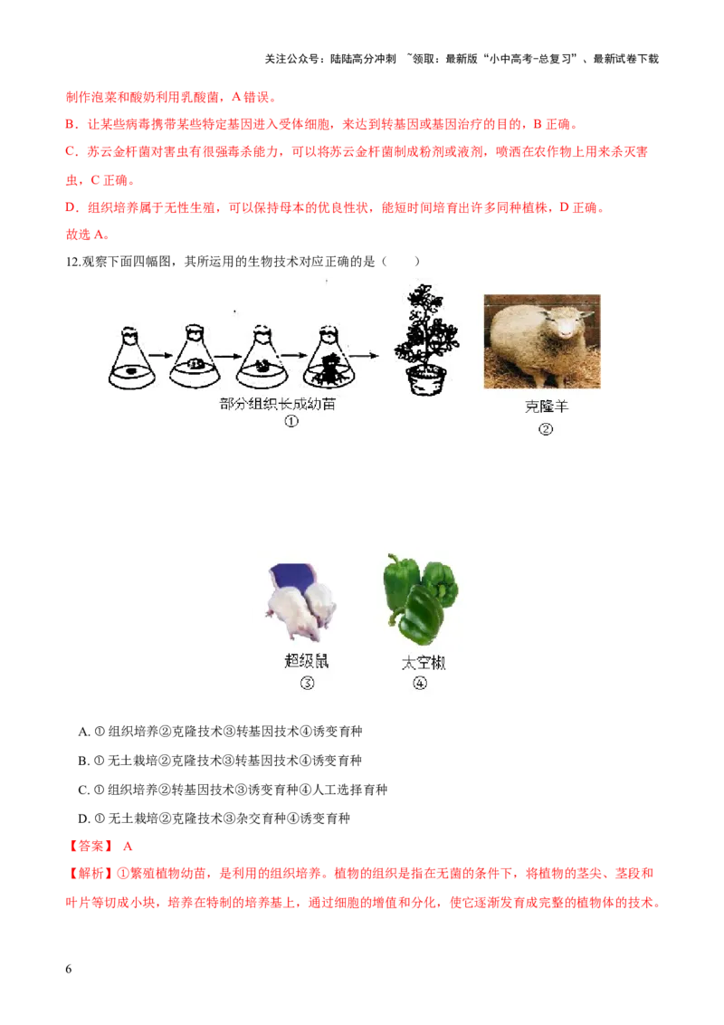 专题23现代生物技术的应用（练习，2大考点）（解析版）_02中考总复习（2026版更新中）_08-生物-中考总复习_2024年中考复习资料_一轮复习_❤2024年中考生物一轮复习讲练测（全国通用）