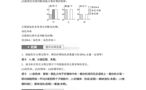 2024年高考生物一轮复习（新人教版）第4单元　第2课时　有丝分裂过程中相关变化及观察实验_09高考生物_2024年新高考资料_1.2024一轮复习_2024年高考生物一轮复习讲义（新人教版）