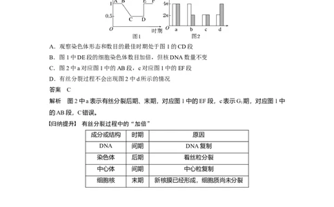 2024年高考生物一轮复习（新人教版）第4单元　第2课时　有丝分裂过程中相关变化及观察实验_09高考生物_2024年新高考资料_1.2024一轮复习_2024年高考生物一轮复习讲义（新人教版）