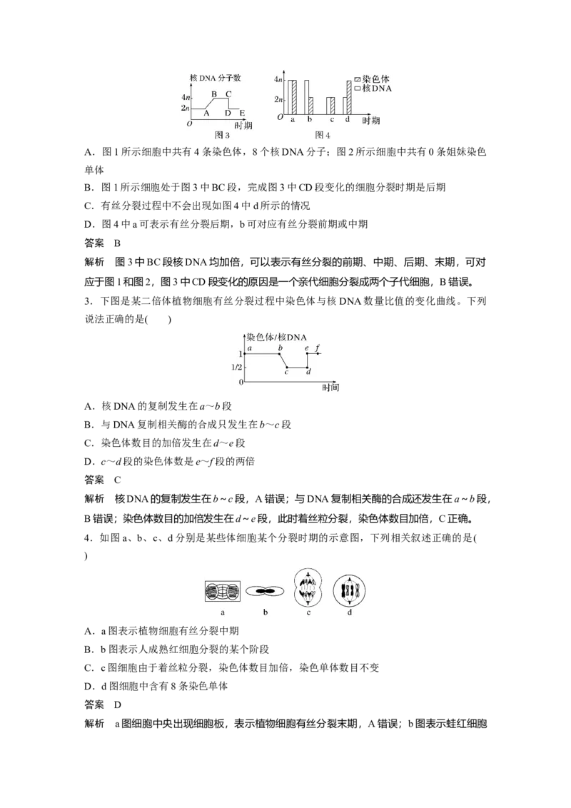 2024年高考生物一轮复习（新人教版）第4单元　第2课时　有丝分裂过程中相关变化及观察实验_09高考生物_2024年新高考资料_1.2024一轮复习_2024年高考生物一轮复习讲义（新人教版）