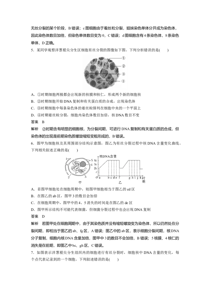 2024年高考生物一轮复习（新人教版）第4单元　第2课时　有丝分裂过程中相关变化及观察实验_09高考生物_2024年新高考资料_1.2024一轮复习_2024年高考生物一轮复习讲义（新人教版）
