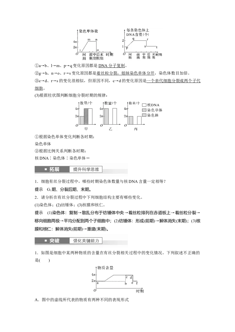 2024年高考生物一轮复习（新人教版）第4单元　第2课时　有丝分裂过程中相关变化及观察实验_09高考生物_2024年新高考资料_1.2024一轮复习_2024年高考生物一轮复习讲义（新人教版）