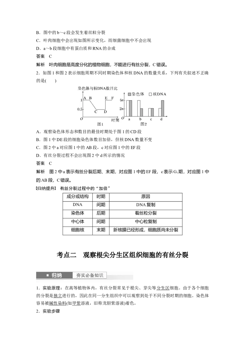 2024年高考生物一轮复习（新人教版）第4单元　第2课时　有丝分裂过程中相关变化及观察实验_09高考生物_2024年新高考资料_1.2024一轮复习_2024年高考生物一轮复习讲义（新人教版）