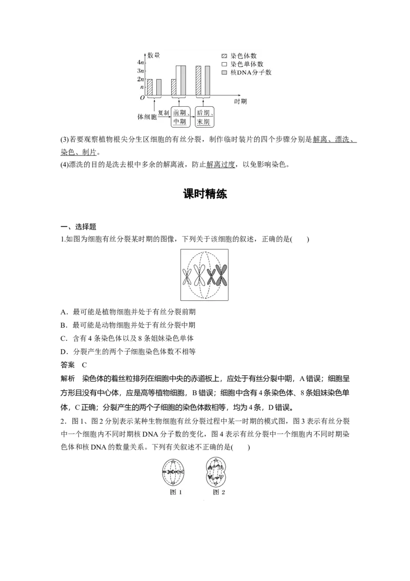 2024年高考生物一轮复习（新人教版）第4单元　第2课时　有丝分裂过程中相关变化及观察实验_09高考生物_2024年新高考资料_1.2024一轮复习_2024年高考生物一轮复习讲义（新人教版）