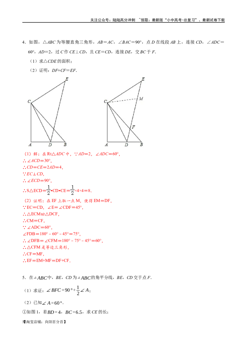 专题1-1一网打尽全等三角形模型&middot;十个模型（解析版）_02中考总复习（2026版更新中）_02-数学-中考总复习_2024年中考复习资料_专项复习资料_教师版（含答案解析）