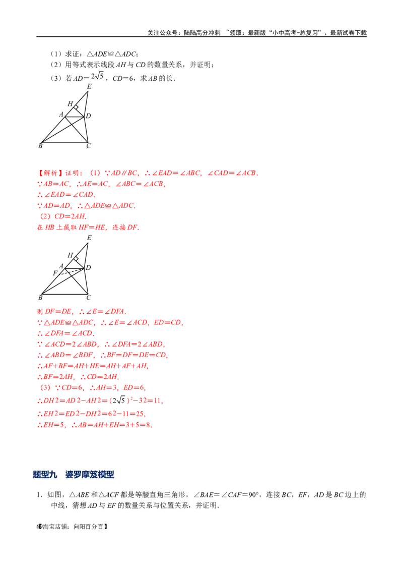 专题1-1一网打尽全等三角形模型&middot;十个模型（解析版）_02中考总复习（2026版更新中）_02-数学-中考总复习_2024年中考复习资料_专项复习资料_教师版（含答案解析）