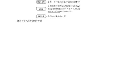 2024年高考生物一轮复习（新人教版）第10单元　第2课时　微生物的培养技术及应用_09高考生物_2024年新高考资料_1.2024一轮复习_2024年高考生物一轮复习讲义（新人教版）