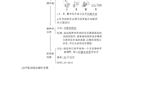 2024年高考生物一轮复习（新人教版）第10单元　第2课时　微生物的培养技术及应用_09高考生物_2024年新高考资料_1.2024一轮复习_2024年高考生物一轮复习讲义（新人教版）
