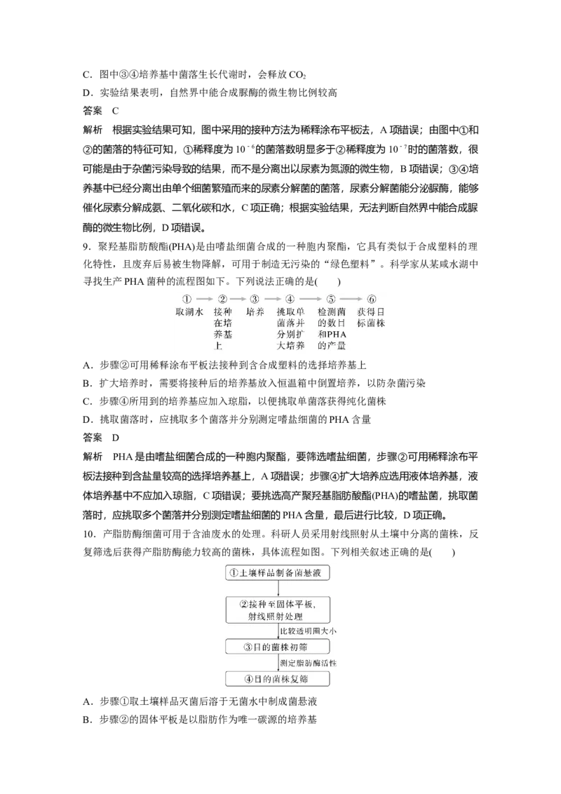 2024年高考生物一轮复习（新人教版）第10单元　第2课时　微生物的培养技术及应用_09高考生物_2024年新高考资料_1.2024一轮复习_2024年高考生物一轮复习讲义（新人教版）