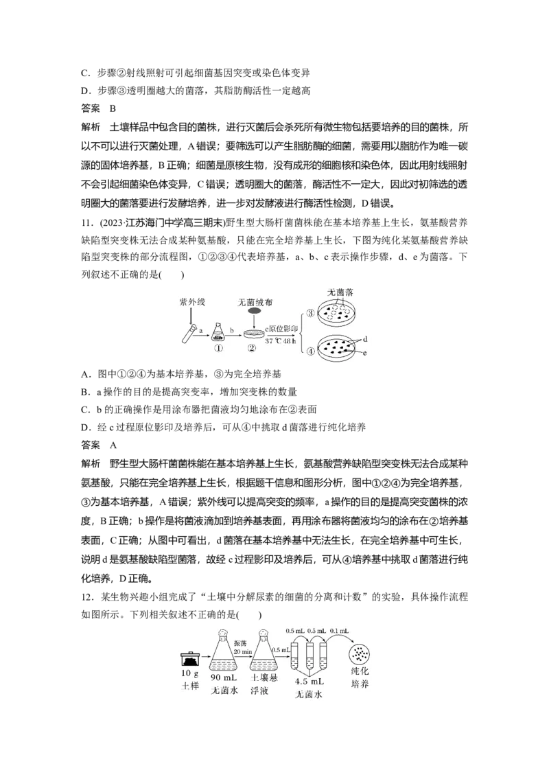 2024年高考生物一轮复习（新人教版）第10单元　第2课时　微生物的培养技术及应用_09高考生物_2024年新高考资料_1.2024一轮复习_2024年高考生物一轮复习讲义（新人教版）