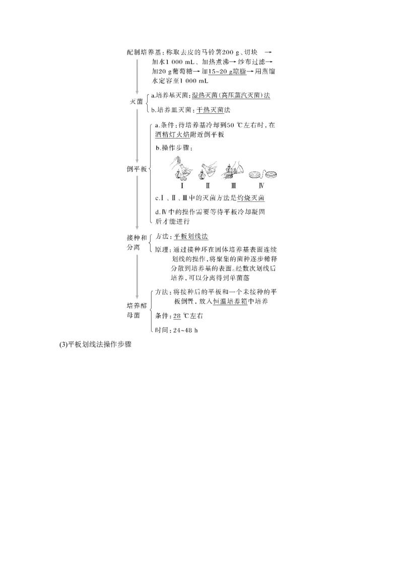 2024年高考生物一轮复习（新人教版）第10单元　第2课时　微生物的培养技术及应用_09高考生物_2024年新高考资料_1.2024一轮复习_2024年高考生物一轮复习讲义（新人教版）